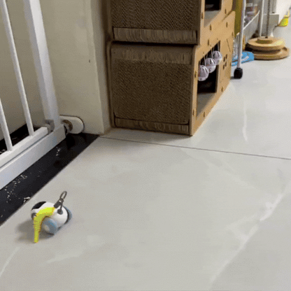 Gato cinza e fofo interagindo com um brinquedo interativo caça ativa da Cantito em um ambiente iluminado e moderno.