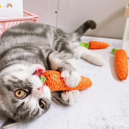 Gato mordendo brinquedo cenoura para gatos 
