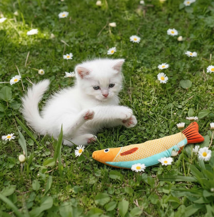 Gato brincando com peixinho com catnip dentro