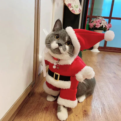 Roupa de natal para gatos com chapéu vermelho