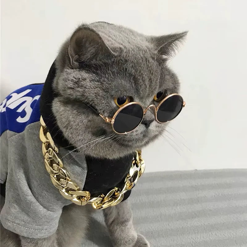 Gato hip hop usando correntes e óculos para gatos 
