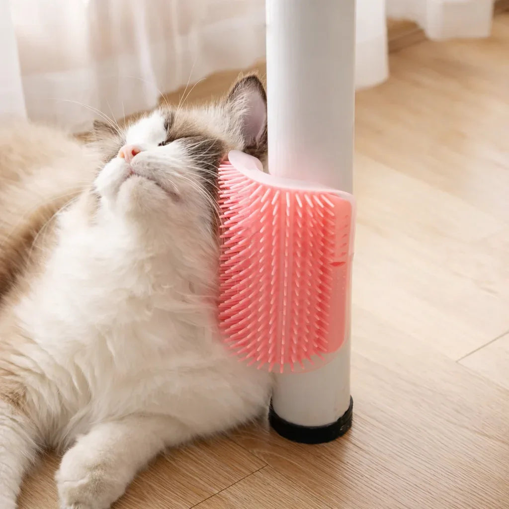 Escova para gatos com catnip