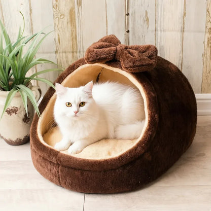 Gato dentro da cama para gatos grandes com lacinho marrom
