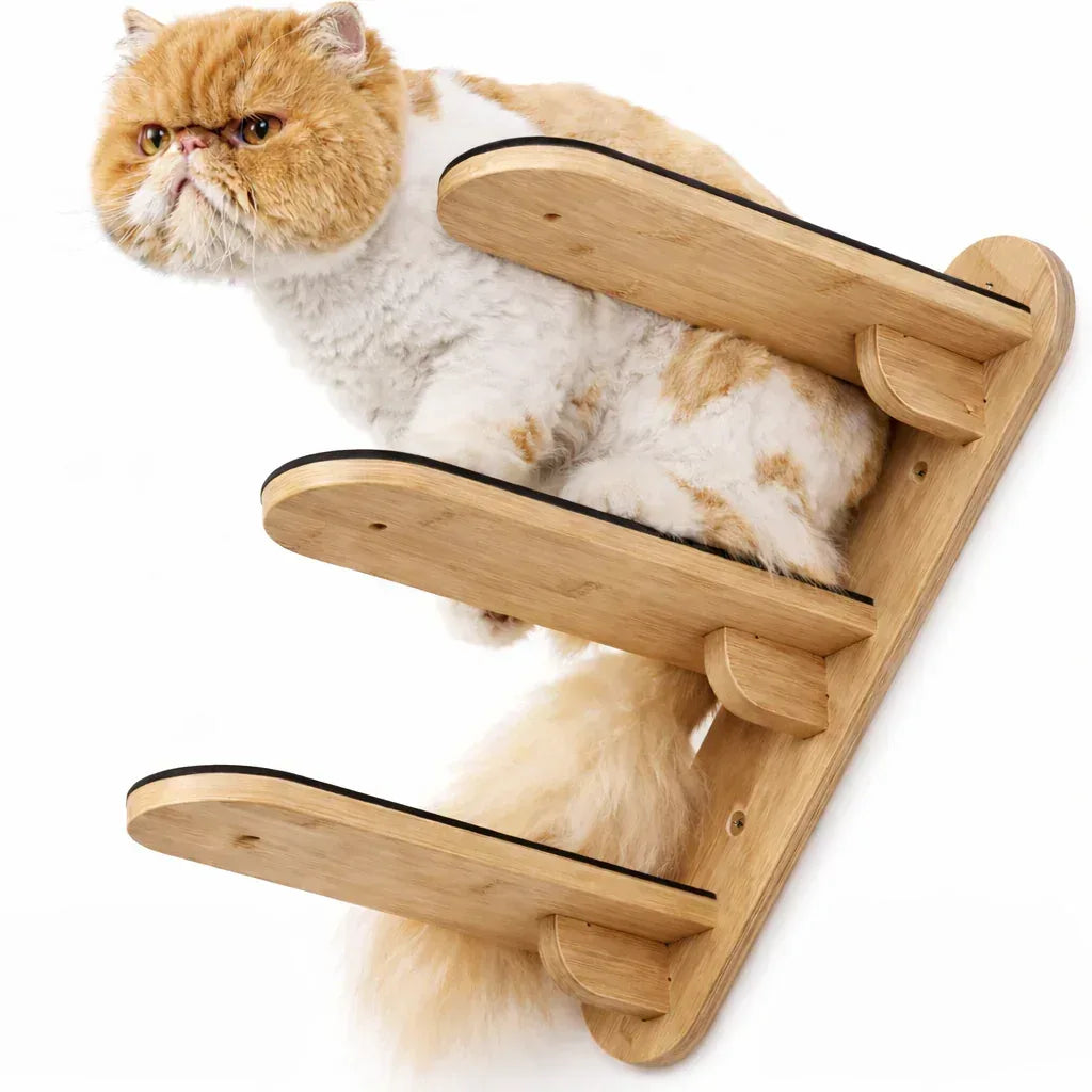 escada para gatos com gato em cima
