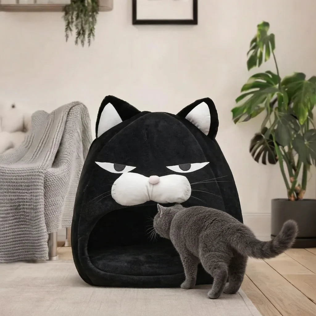 Caminha Gatinho Preto