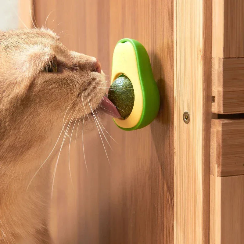 Gato lambendo catnip calmante para gatos
