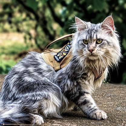 Peitoral para gatos ajustável e confortável