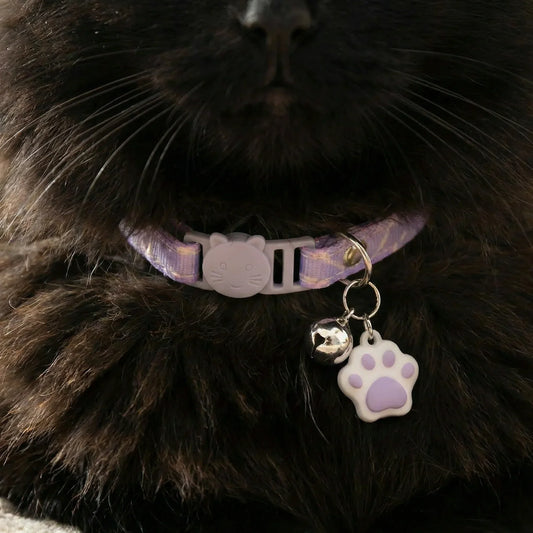 Detalhes da coleira para gatos 
