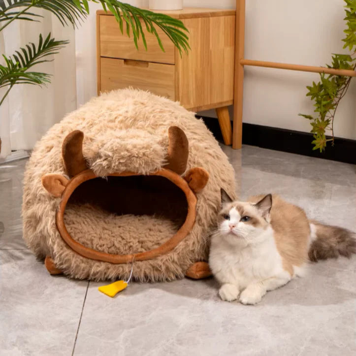 Cama em formato de touro para gatos com um belo gato do lado 
