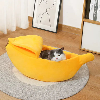 Gato relaxando dentro da cama banana macia e aconchegante