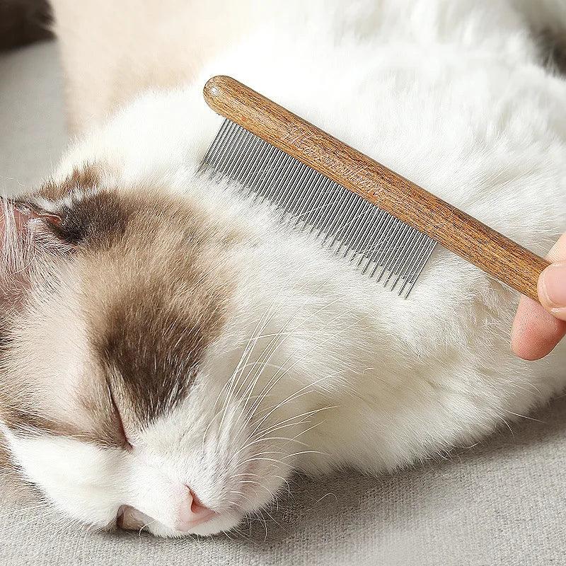 Gato sendo penteado com pente de aço inox