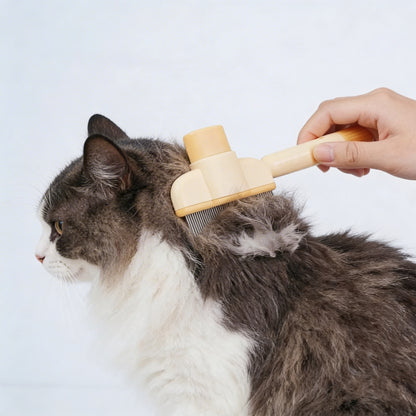 Gato sendo penteado com pente para gatos 