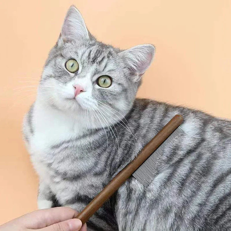Gato sendo escovado com pente inox para gatos