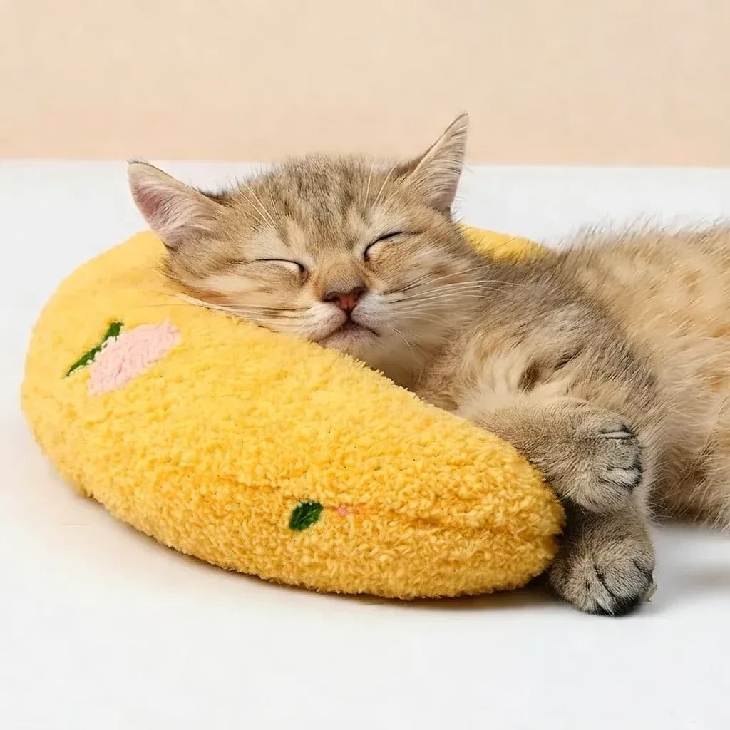 Momento de descanso confortável com almofada Cantito para gatos