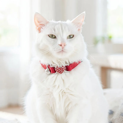 Coleira para gatos vermelha em gato branco com cara séria 