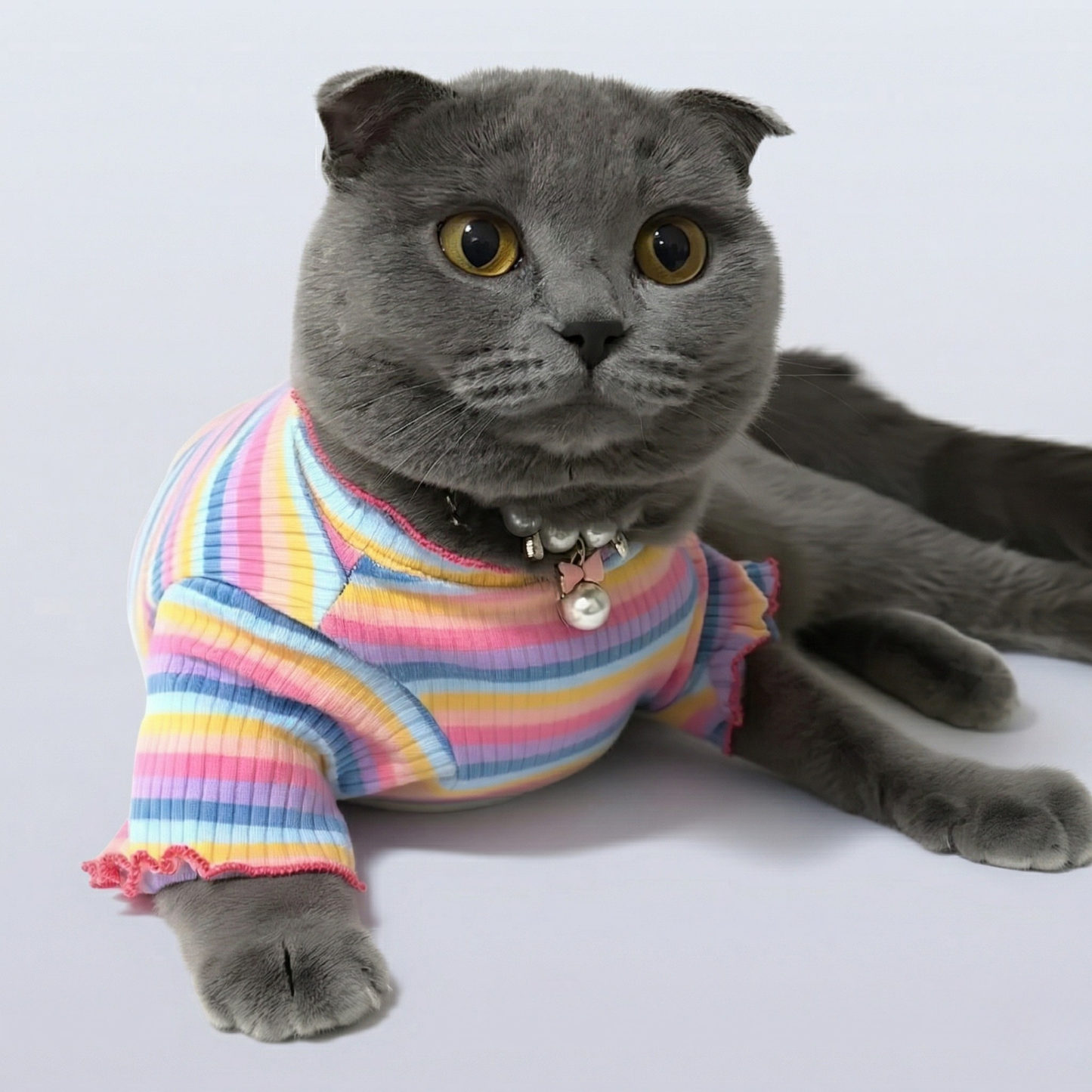 Suéter para gatos