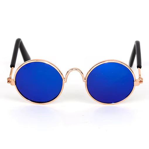Óculos para gatos azul