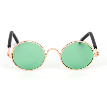 Óculos para gatos dourado verde 

