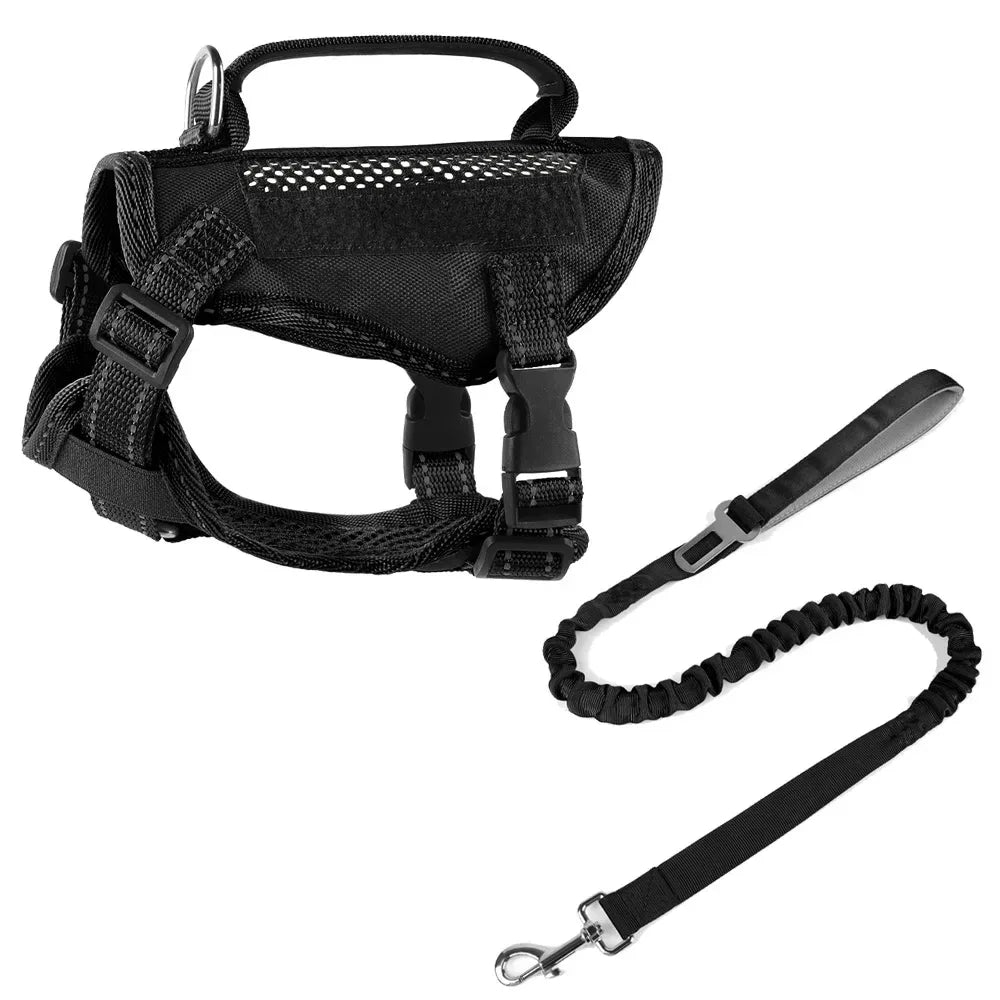 Peitoral para gatos preto com guia