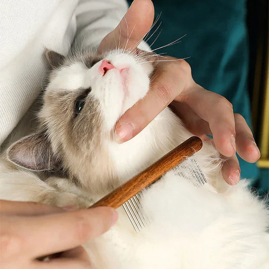 Pelos sendo removidos do gato com pente de aço inox