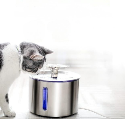 Bebedouro Fonte Automática