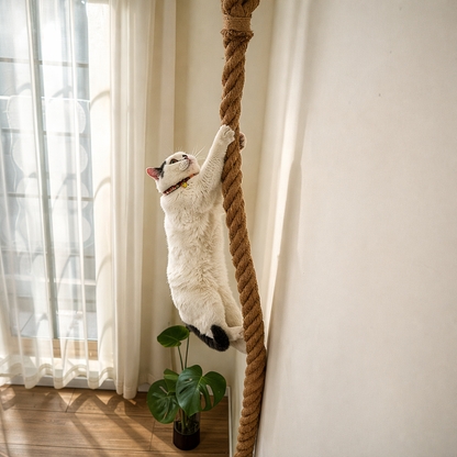Corda de Escalada para Gatos