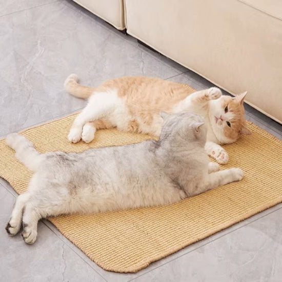 Instalação do arranhador para gatos sem furos