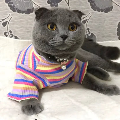 Roupinha para gato estilo suéter