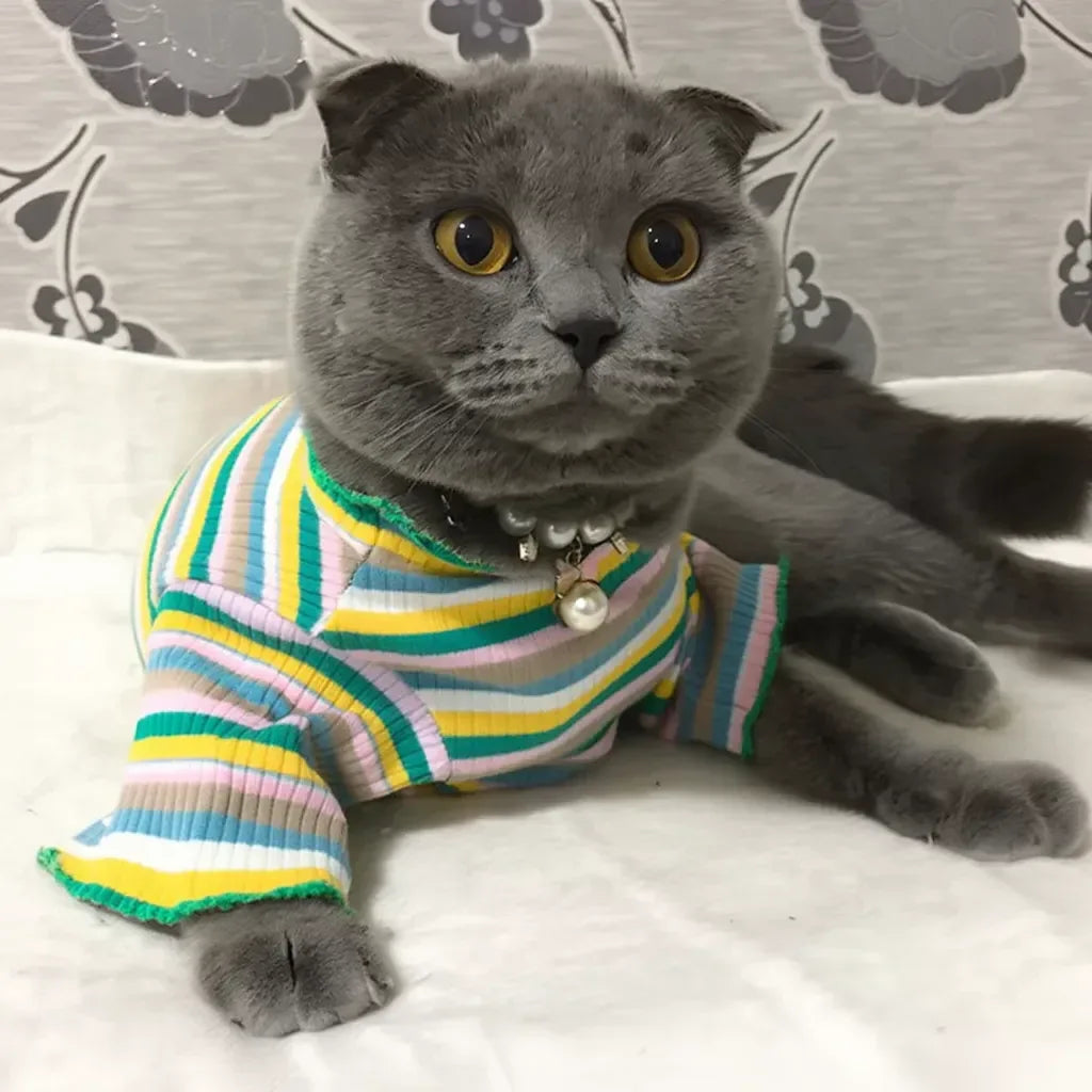 Roupinha para gatos confortável para uso prolongado