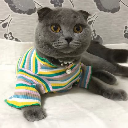 Roupinha para gatos confortável para uso prolongado
