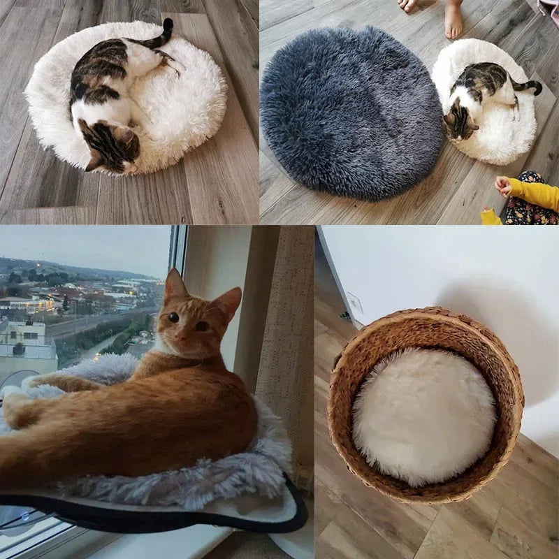 Cama para gato azul tipo tapete felpudo redondo, macio e confortável
